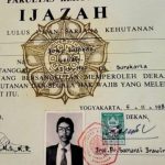 Kasus Ijazah Jokowi: Rismon Sianipar Meminta Maaf