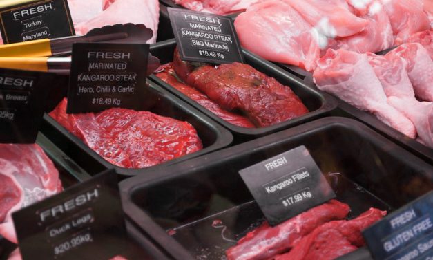 Cita Rasa Egaliter: Menikmati Daging Kanguru Merah Di Australia