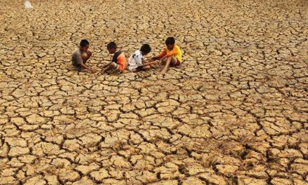 BMKG Peringatkan 7 Wilayah Di Jawa Tengah Siaga Kekeringan