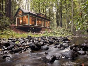 Tren Unplugged Weekend, Detoks Di Kabin Hutan Tanpa Sinyal