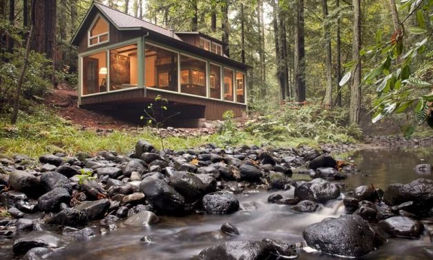 Tren Unplugged Weekend, Detoks Di Kabin Hutan Tanpa Sinyal